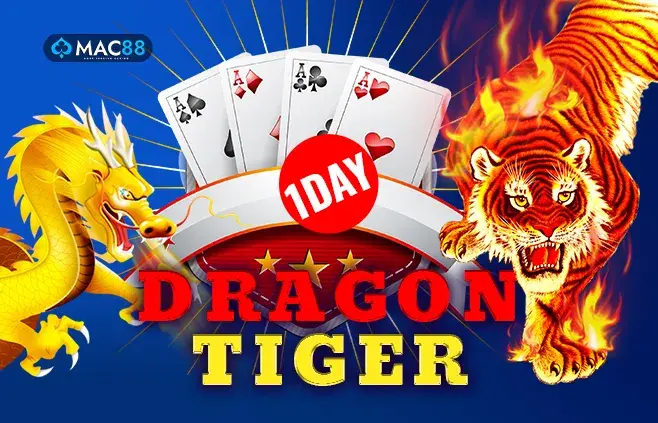 1 DAY DRAGON TIGER